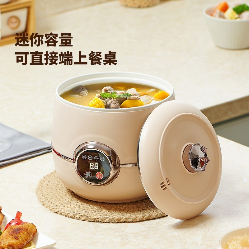 Home Cooking Electric - Penanak Nasi Listrik Mini Pintar Dengan